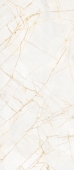 0017223 GOLDEN SPIDER LU3 R 120X280