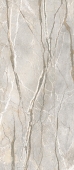 0017226 SILVER ROOTS LU3 R 120X280