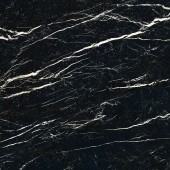 Керамогранит 24205 DEEP BLACK/100X100/EP